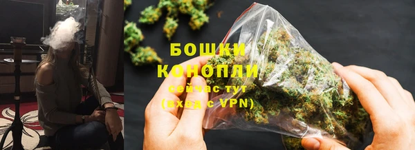 PSILOCYBIN Россошь