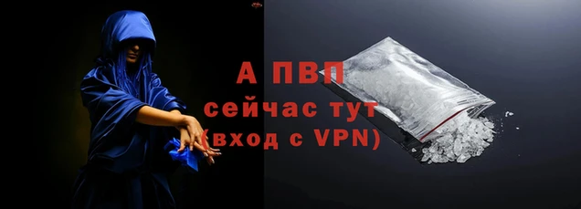 PSILOCYBIN Россошь