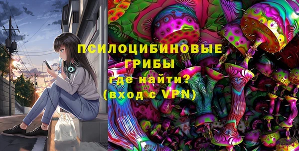 PSILOCYBIN Россошь