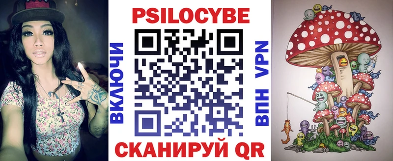 МЕГА tor  купить наркоту  Великий Устюг  Псилоцибиновые грибы Psilocybe 