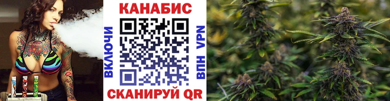 где можно купить   Великий Устюг  Шишки марихуана семена 